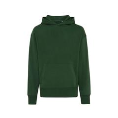 Vue Sweat à capuche en coton recyclé Iqoniq Yoho de couleur vert| Krokrodeal