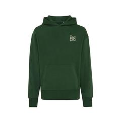 Vue Sweat à capuche en coton recyclé Iqoniq Yoho de couleur vert| Krokrodeal