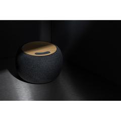 Vue Enceinte 5W en plastique recyclé RCS et bambou de couleur gris| Krokrodeal