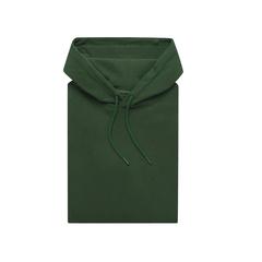 Vue Sweat à capuche en coton recyclé Iqoniq Jasper de couleur vert| Krokrodeal