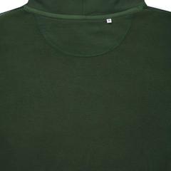 Vue Sweat à capuche en coton recyclé Iqoniq Jasper de couleur vert| Krokrodeal