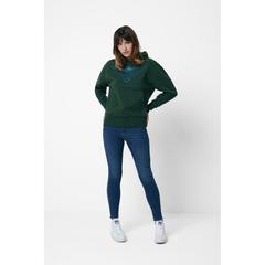 Vue Sweat à capuche en coton recyclé Iqoniq Jasper de couleur vert| Krokrodeal
