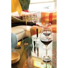 Vue Set 4pcs Vino Connoisseur de couleur gris| Krokrodeal