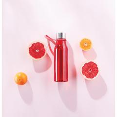 Vue VINGA Bouteille d'eau 600ml Lean de couleur rouge| Krokrodeal