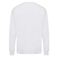 Vue Sweater léger à col rond en coton recyclé Iqoniq Etosha de couleur blanc| Krokrodeal