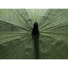 Vue Parapluie tempête 30" en rPET 190T Impact AWARE™ de couleur vert| Krokrodeal