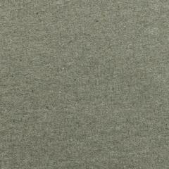 Vue Pull à col rond en coton recyclé non teinté Iqoniq Denali de couleur vert| Krokrodeal