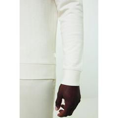Vue Pull à col rond en coton recyclé non teinté Iqoniq Denali de couleur beige| Krokrodeal