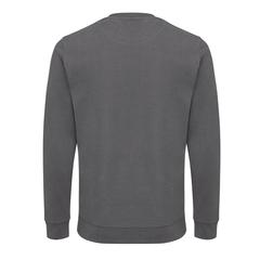 Vue Sweater à col rond en coton recyclé Iqoniq Zion de couleur gris| Krokrodeal