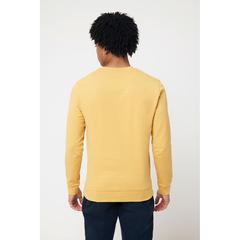 Vue Sweater à col rond en coton recyclé Iqoniq Zion de couleur jaune| Krokrodeal