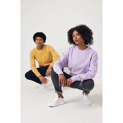 Vue Sweater à col rond en coton recyclé Iqoniq Zion de couleur jaune| Krokrodeal