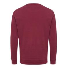 Vue Sweater à col rond en coton recyclé Iqoniq Zion de couleur rouge| Krokrodeal