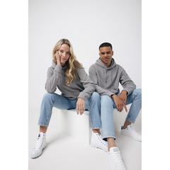 Vue Polaire à capuche en polyester recyclé Iqoniq Trivor de couleur gris| Krokrodeal