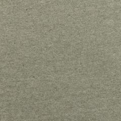 Vue Sweat à capuche en coton recyclé et non teinté Iqoniq Torres de couleur vert| Krokrodeal
