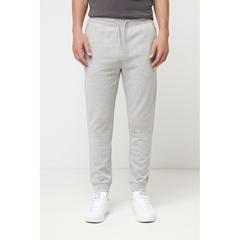 Vue Jogging en coton recyclé Iqoniq Cooper de couleur gris| Krokrodeal