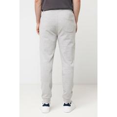 Vue Jogging en coton recyclé Iqoniq Cooper de couleur gris| Krokrodeal