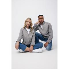 Vue Polaire à zip en polyester recyclé Iqoniq Talung de couleur gris| Krokrodeal