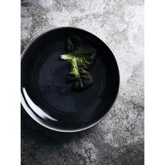 Vue VINGA Set de 2 assiettes 20cm Nomimono de couleur noir| Krokrodeal
