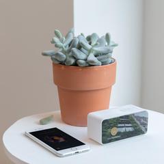 Vue Enceinte DJ de couleur blanc| Krokrodeal