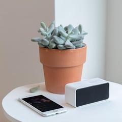Vue Enceinte DJ de couleur blanc| Krokrodeal