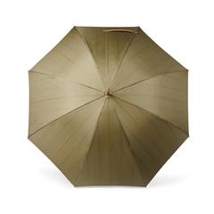 Vue Parapluie 23" en rPET AWARE™ VINGA Bosler de couleur vert| Krokrodeal