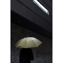 Vue Parapluie 23" en rPET AWARE™ VINGA Bosler de couleur vert| Krokrodeal