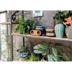 Vue Double enceinte Bamboo X de couleur marron| Krokrodeal
