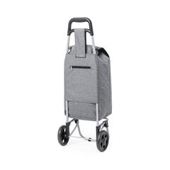 Vue Caddie Course Daggio de couleur gris| Krokrodeal