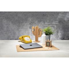 Vue Porte-Crayons Multifonction Wicam de couleur -| Krokrodeal