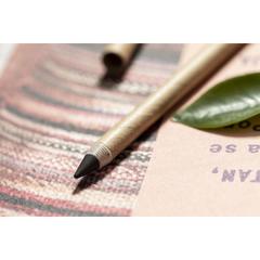 Vue générale Crayon Éternel Yeidy | Krokrodeal