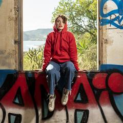 Vue générale Sweat-Shirt à Capuche Adulte Harnix | Krokrodeal