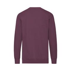 Vue générale Sweat-Shirt Adulte Lightweight Set-In S | Krokrodeal