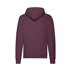 Vue générale Sweat-Shirt Adulte Lightweight Hooded S | Krokrodeal