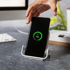 Vue générale Chargeur Buisson | Krokrodeal