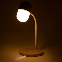 Vue générale Lampe Multifonction Lars | Krokrodeal