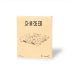 Vue générale Chargeur Raston | Krokrodeal
