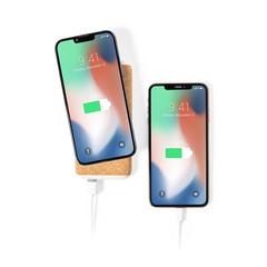 Vue générale Power Bank Limerick | Krokrodeal