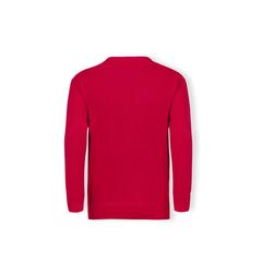 Vue générale Sweat-Shirt Enfant Classic Set-In Sweat | Krokrodeal