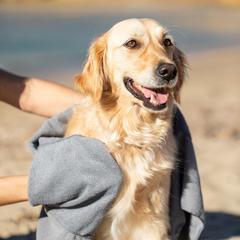 Vue générale Serviette Animaux de Compagnie Yelyn | Krokrodeal