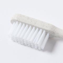 Vue générale Brosse à Dents Duncan | Krokrodeal