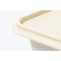 Vue générale Gamelle Weaver | Krokrodeal