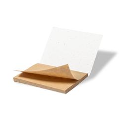 Vue générale Bloc Notes Ensemencé Zomek | Krokrodeal