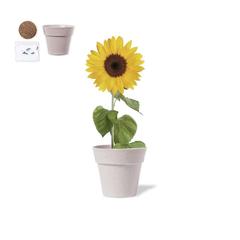 Vue générale Pot de Fleurs Tumil | Krokrodeal