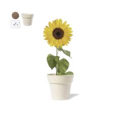 Vue générale Pot de Fleurs Tumil | Krokrodeal
