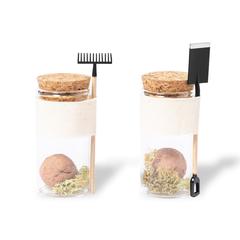 Vue générale Bonbon Graines Winsu | Krokrodeal