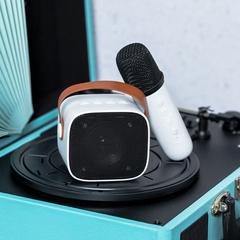 Vue générale Haut-Parleurs Karaoke Sophie | Krokrodeal