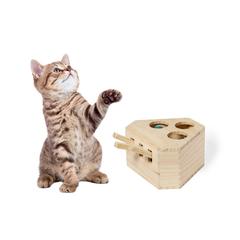 Vue générale Jeu d'Animaux de Compagnie Kesel | Krokrodeal