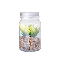 Vue générale Plante Décorative Kyala | Krokrodeal