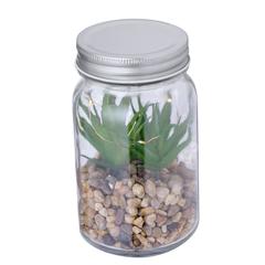Vue générale Plante Décorative Kyala | Krokrodeal
