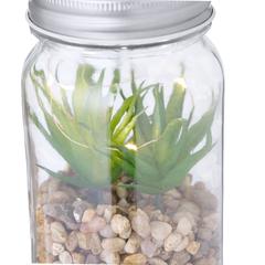 Vue générale Plante Décorative Kyala | Krokrodeal
